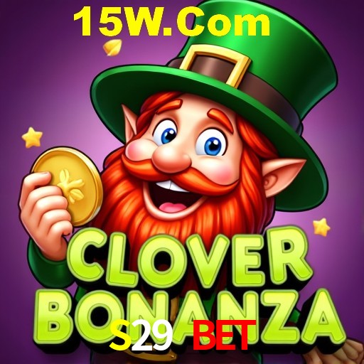 Security Systems S29 Bet