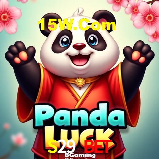 Interface Premium S29 Bet